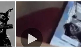 千金被爆料吃瓜视频,揭秘娱乐圈幕后真相